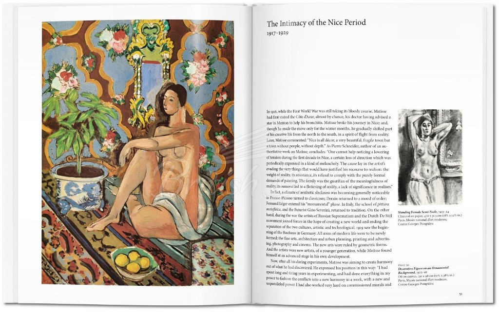 Книга Matisse зображення 3