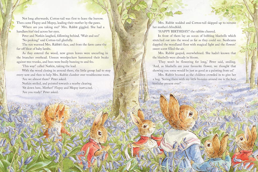Книга Peter Rabbit: Tales from the Countryside зображення 1