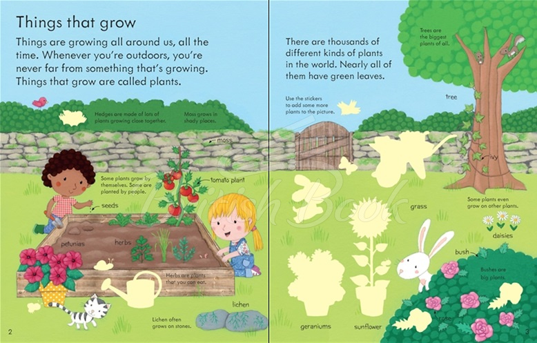 Книга My First Book about How Things Grow зображення 3
