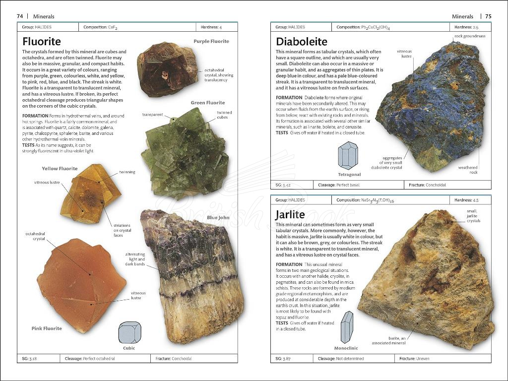 Книга Rocks and Minerals зображення 4