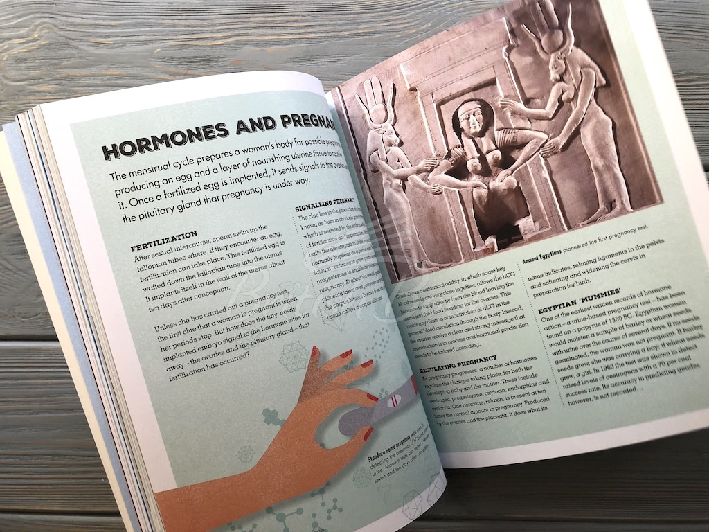 Книга Meet Your Hormones зображення 9