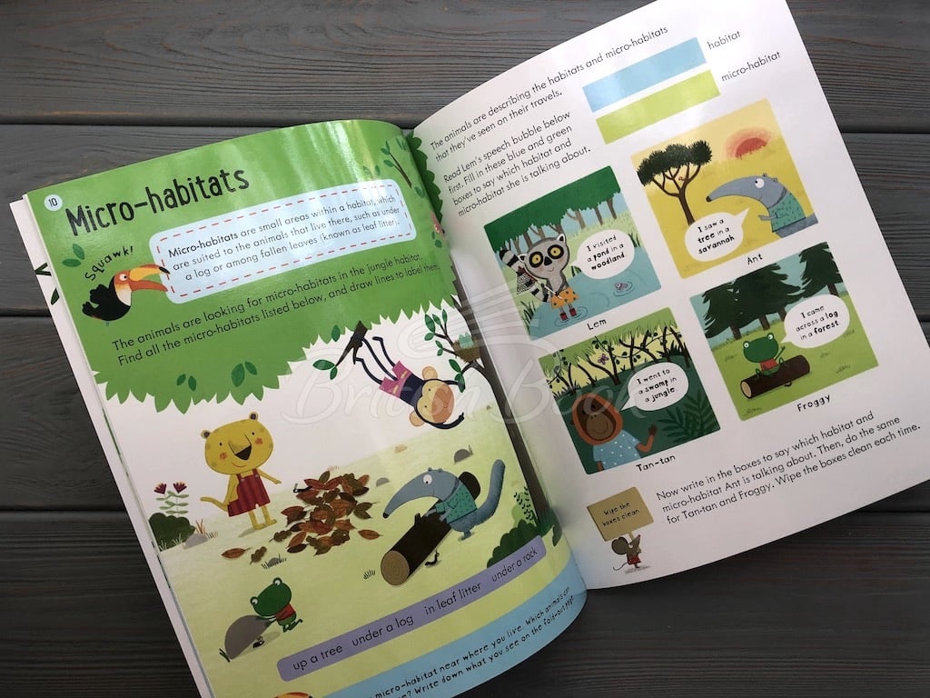 Книга Wipe-Clean Finding out about Animals (Age 6 to 7) зображення 4