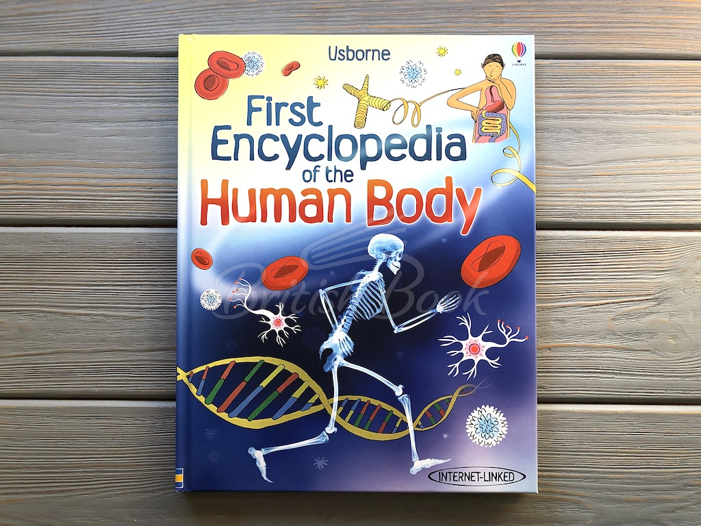 Книга First Encyclopedia of the Human Body зображення 1