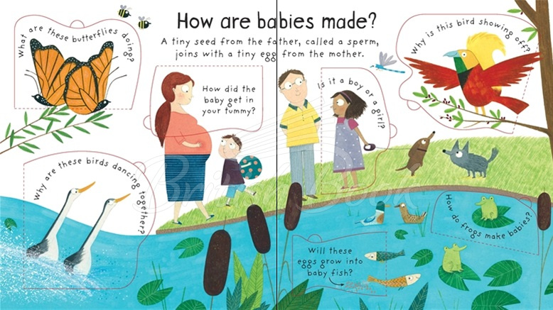 Книга Lift-the-Flap First Questions and Answers: Where Do Babies Come from? зображення 2