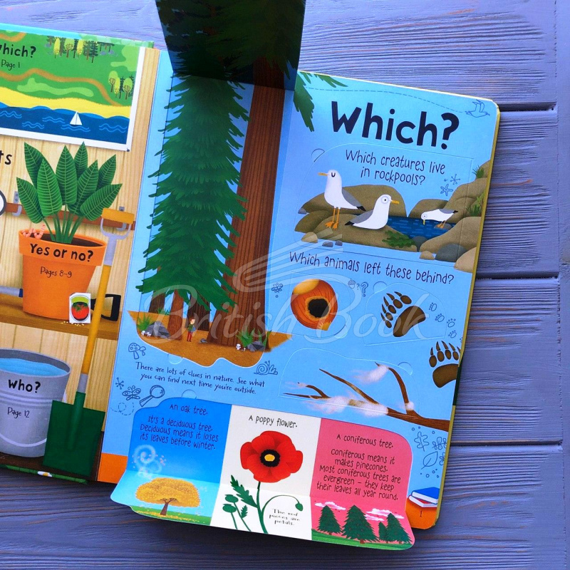Книга Lift-the-Flap Questions and Answers about Nature зображення 1