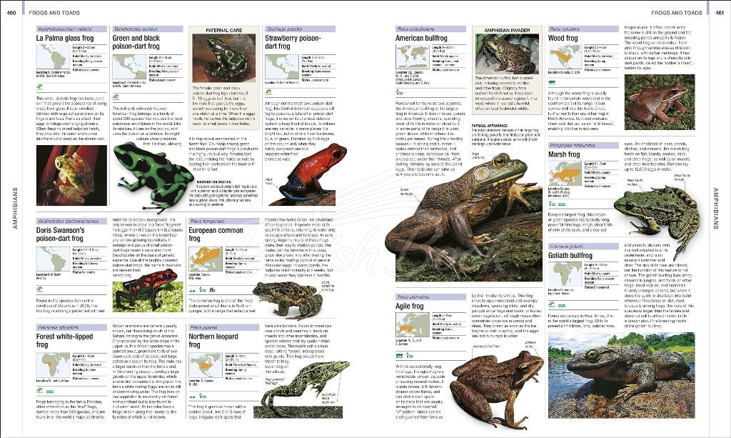 Книга Animal: The Definitive Visual Guide (New Edition) зображення 1