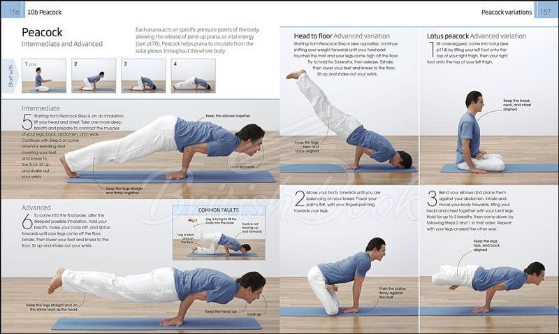 Книга Yoga: Your Home Practice Companion зображення 4