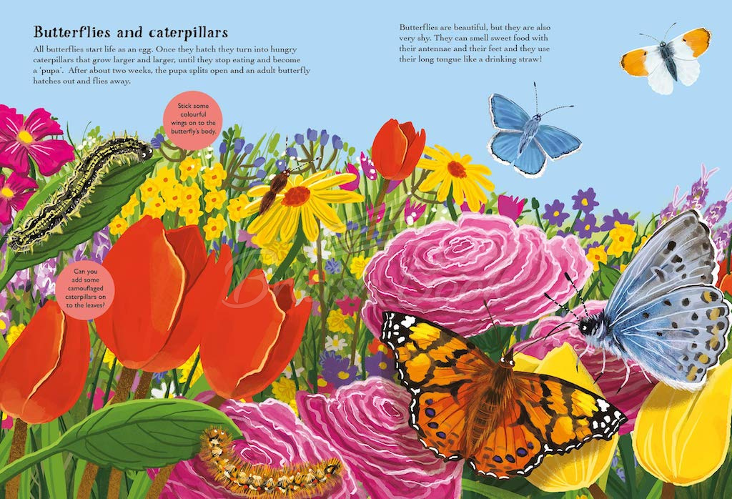 Книга National Trust: A Nature Sticker Book: Beetles, Butterflies and Other British Minibeasts зображення 2