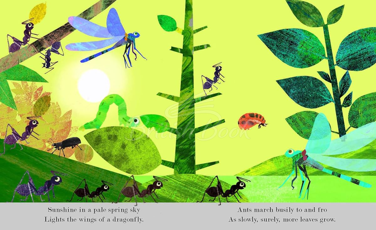 Книга A Peek-Through Introduction to Nature: Bugs зображення 3