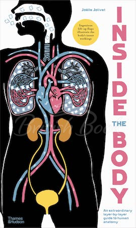 Книга Inside the Body: An Extraordinary Layer-by-Layer Guide to Human Anatomy зображення