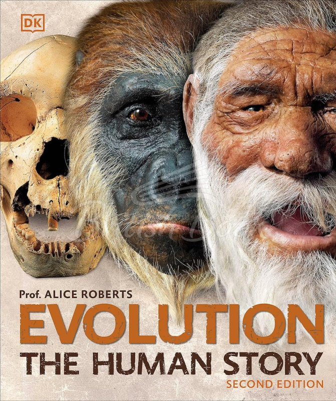 Книга Evolution: The Human Story зображення