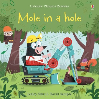 Книга Mole in a Hole зображення