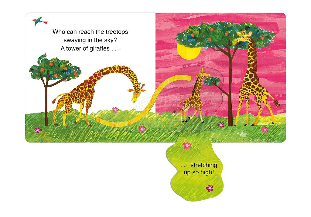 Книга The Very Hungry Caterpillar's Wild Animal Hide-and-Seek зображення 6