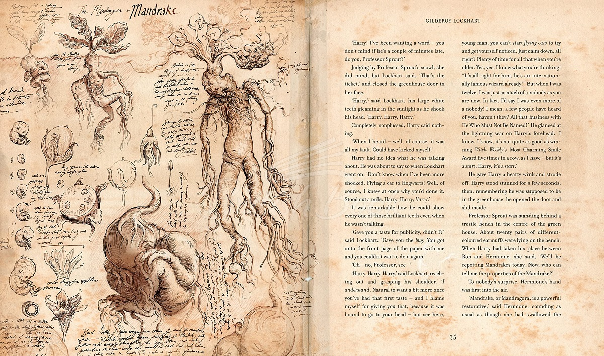 Книга Harry Potter and the Chamber of Secrets (Illustrated Edition) зображення 4