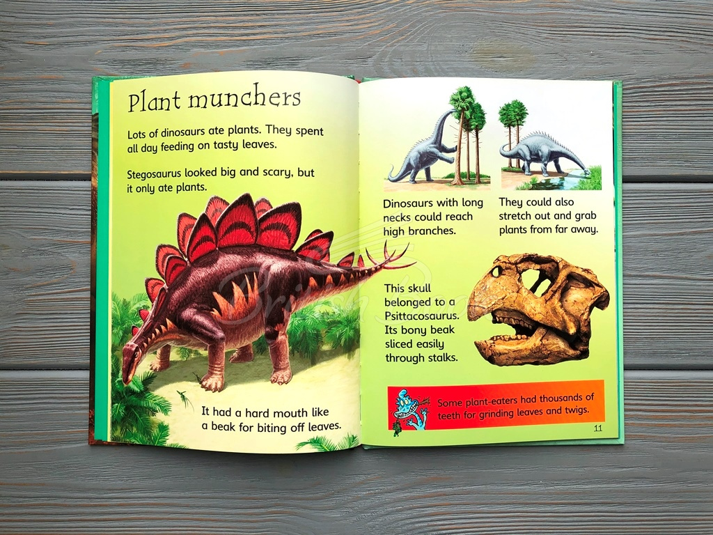 Книга Usborne Beginners Dinosaurs зображення 5