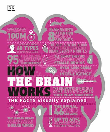 Книга How the Brain Works зображення