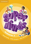 Super Minds 5 Flashcards