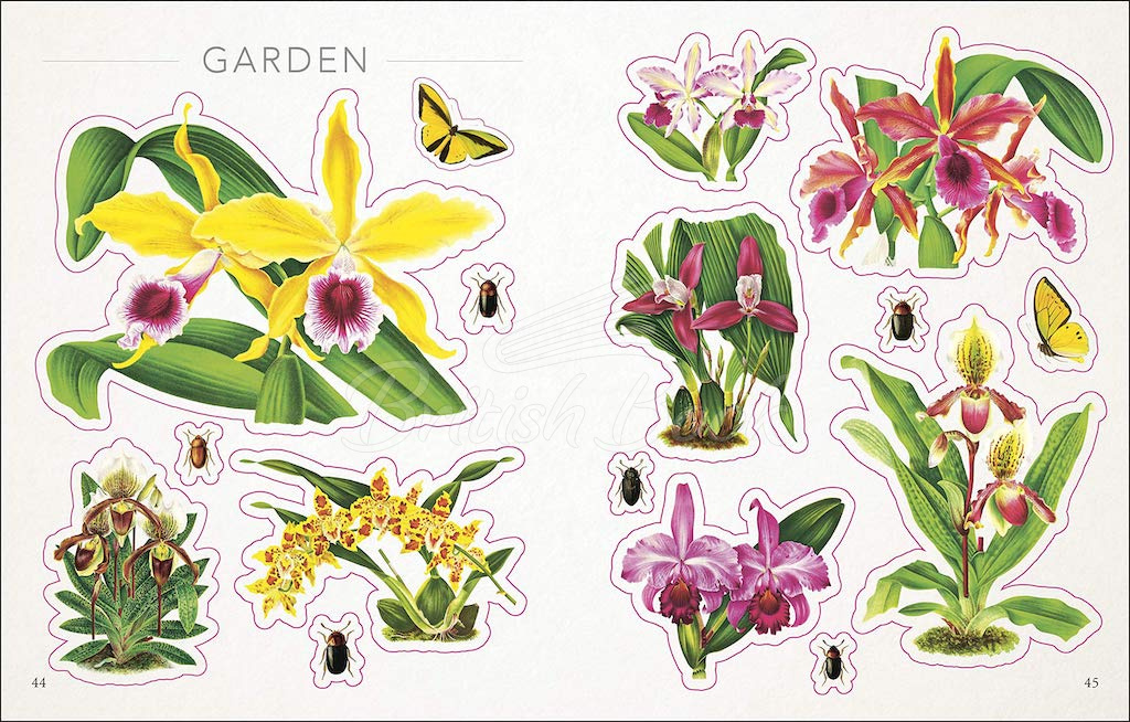 Книга The Botanist's Sticker Anthology зображення 7
