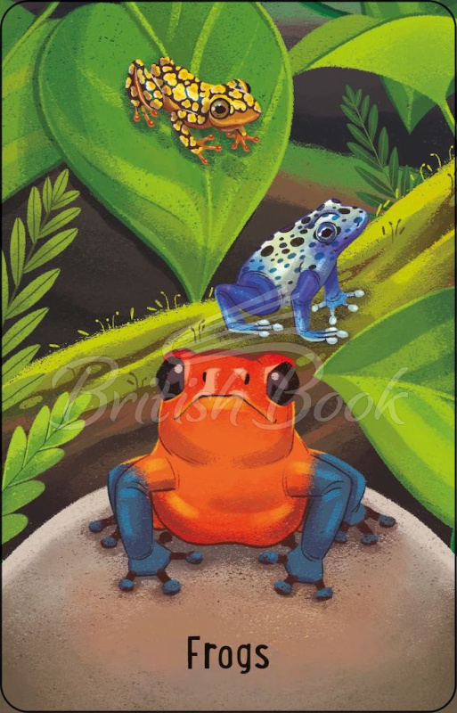 Карточная игра Zoo Snap изображение 2