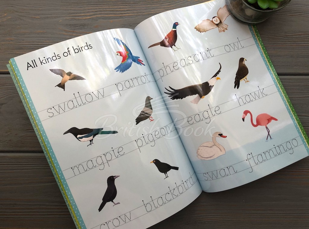 Книга Little Wipe-Clean Word Book: Outdoors зображення 4