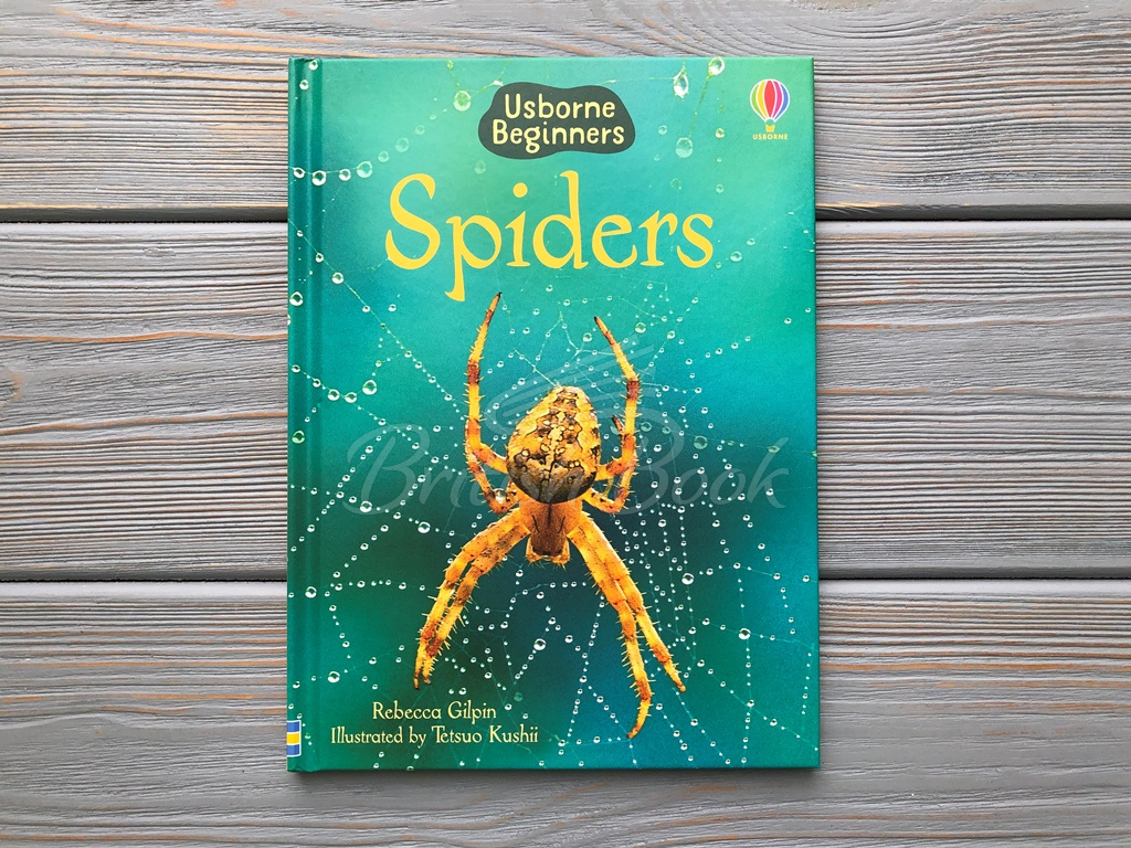 Книга Usborne Beginners Spiders зображення 1