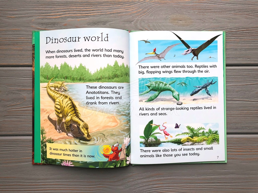 Книга Usborne Beginners Dinosaurs зображення 3