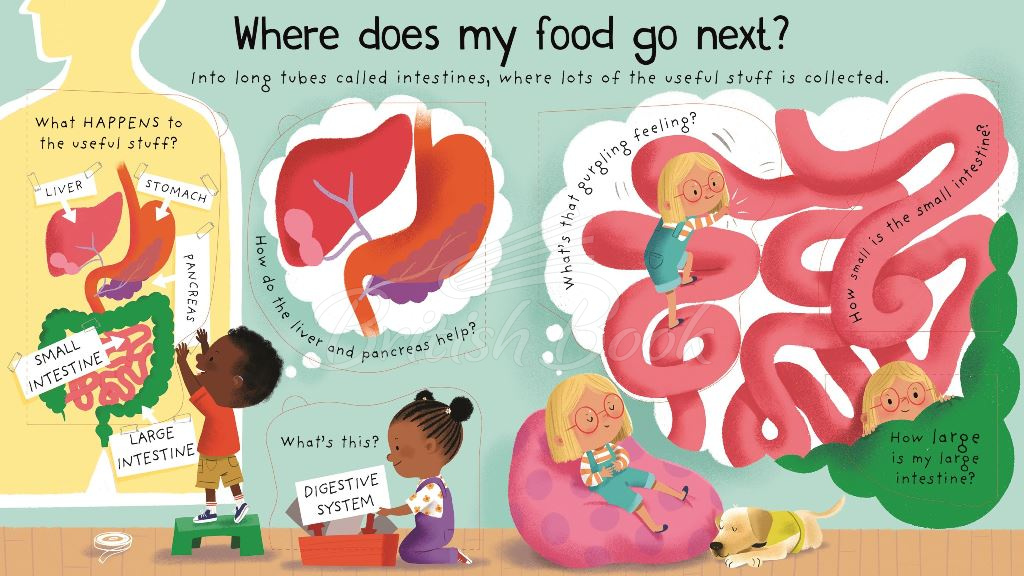Книга Lift-the-Flap First Questions and Answers: Where Does My Food Go? зображення 2