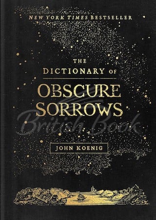 Книга The Dictionary of Obscure Sorrows зображення