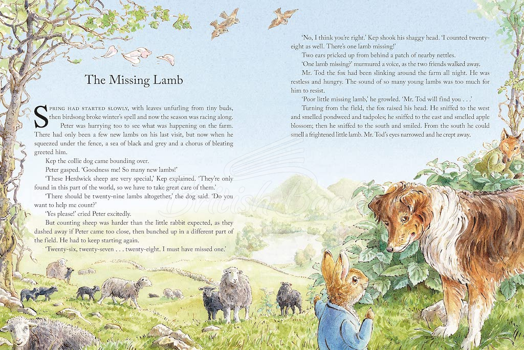 Книга Peter Rabbit: Tales from the Countryside зображення 9