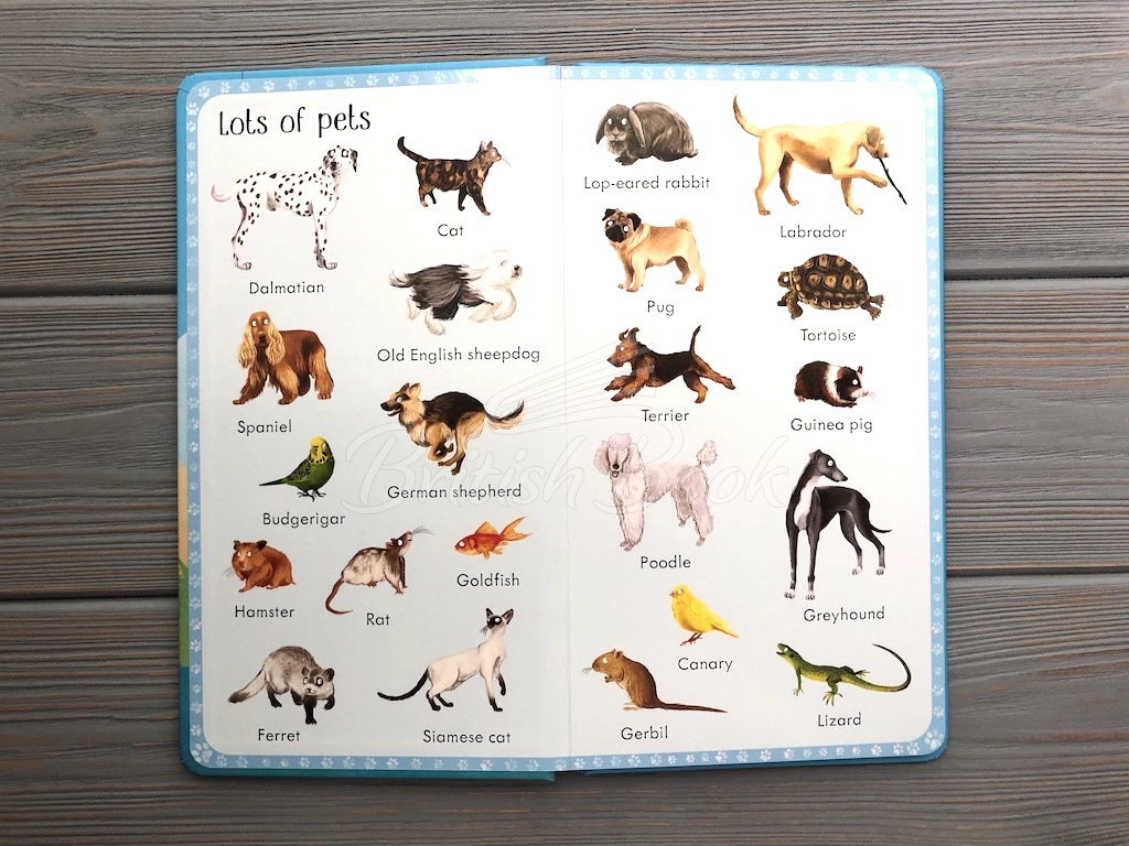 Книга 199 Animals зображення 2