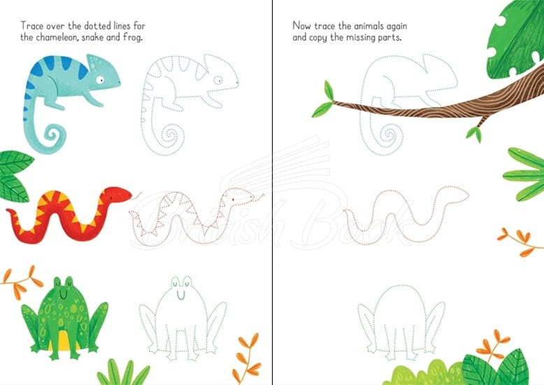 Книга Little Wipe-Clean Animals to Copy and Trace зображення 1