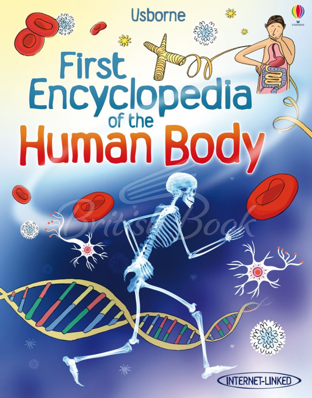 Книга First Encyclopedia of the Human Body зображення