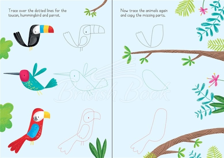 Книга Little Wipe-Clean Animals to Copy and Trace зображення 3
