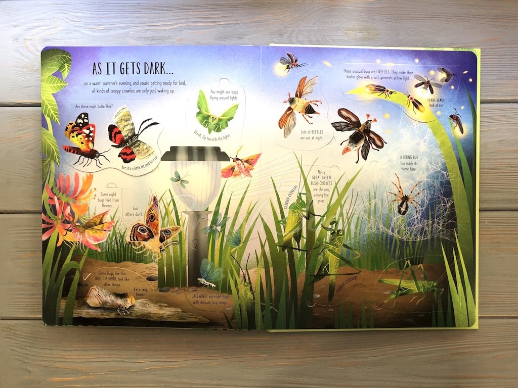 Книга Lift-the-Flap Bugs and Butterflies зображення 6