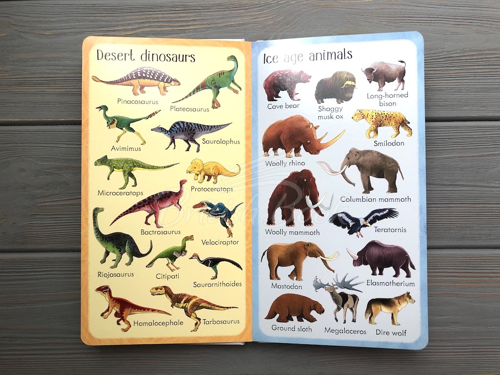 Книга 199 Dinosaurs and Prehistoric Animals зображення 3