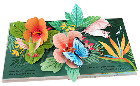 Книга Flora: A Botanical Pop-Up Book зображення 3