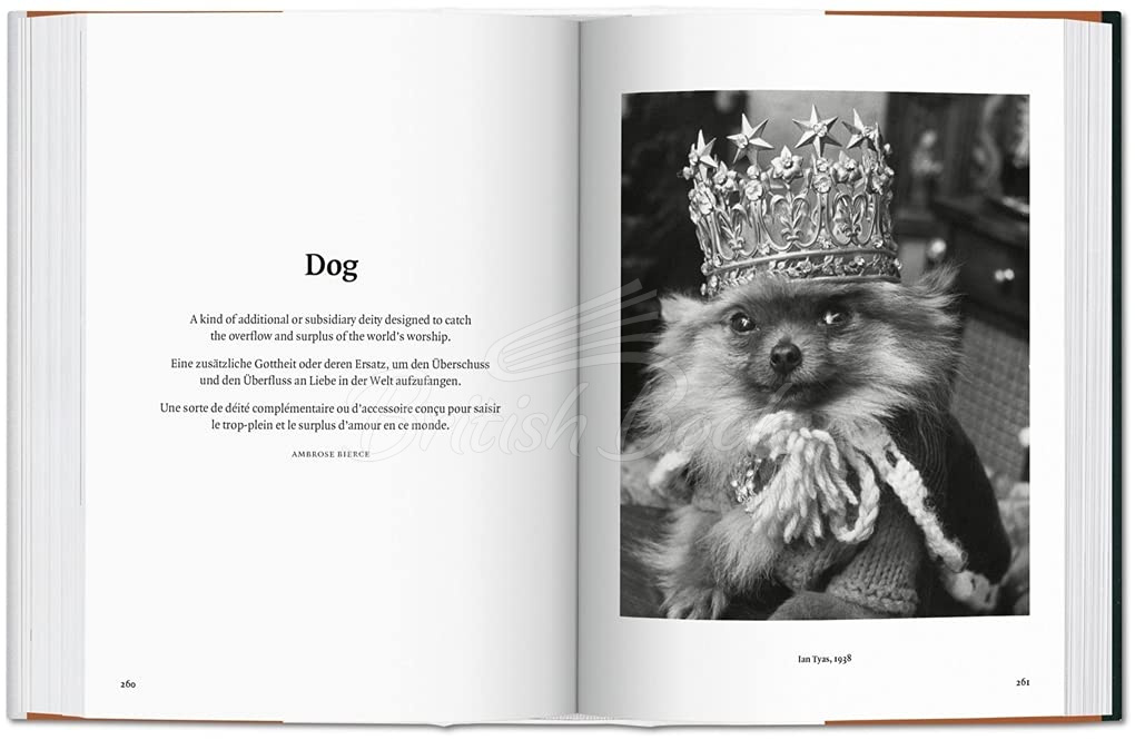 Книга The Dog in Photography 1839–Today зображення 3