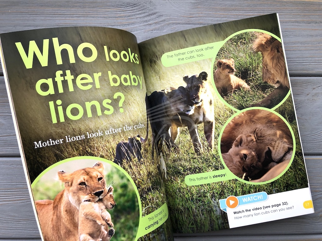 Книга BBC Earth: Do You Know? Level 1 Animal Families зображення 2