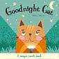 Goodnight Cat (A Magic Torch Book)
