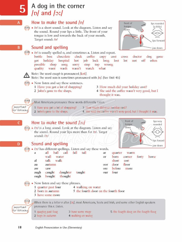 Книга English Pronunciation in Use Elementary with answers and Downloadable Audio зображення 11