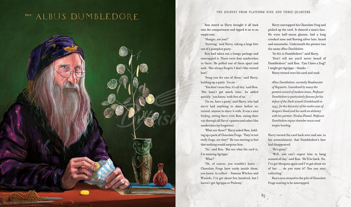 Книга Harry Potter and the Philosopher's Stone (Illustrated Edition) зображення 4