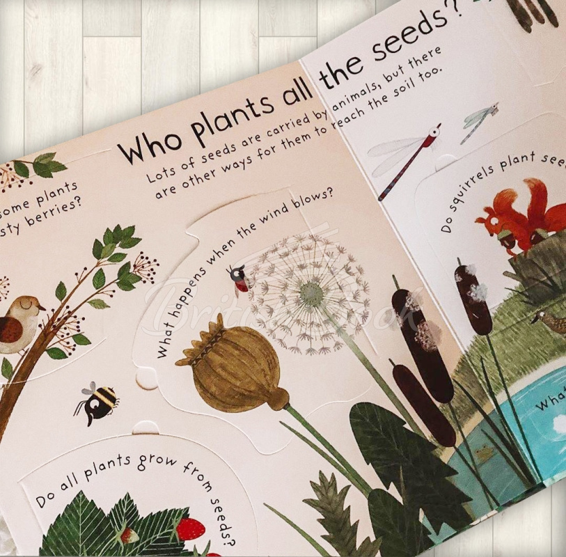 Книга Lift-the-Flap First Questions and Answers: How Do Flowers Grow? зображення 4