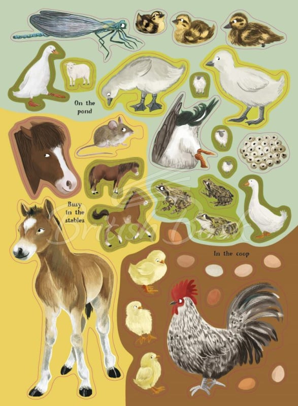 Книга National Trust: Horses, Hens and Other British Farm Animals зображення 3