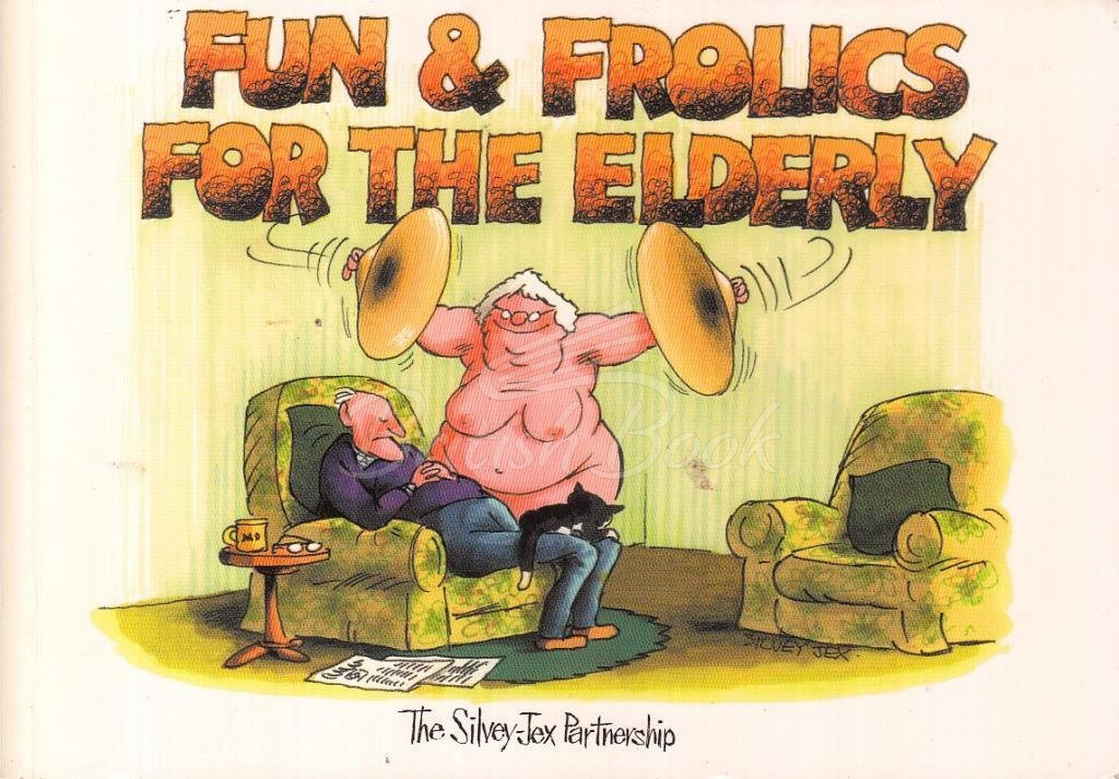 Книга Fun and Frolics for the Elderly зображення