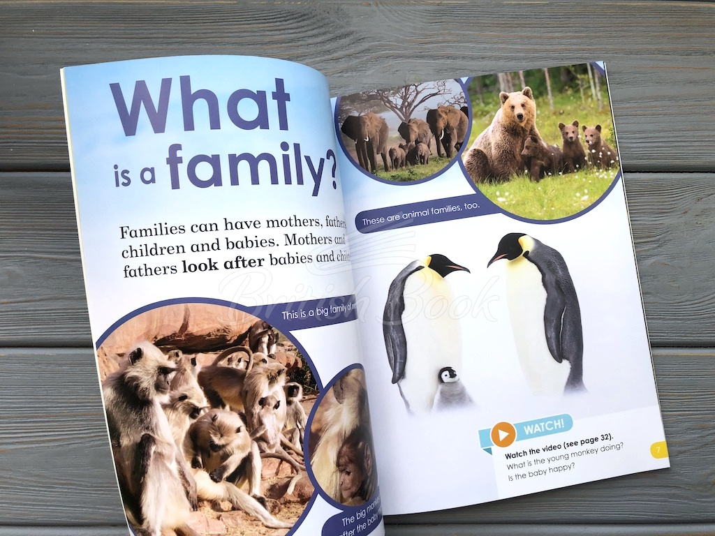Книга BBC Earth: Do You Know? Level 1 Animal Families зображення 7