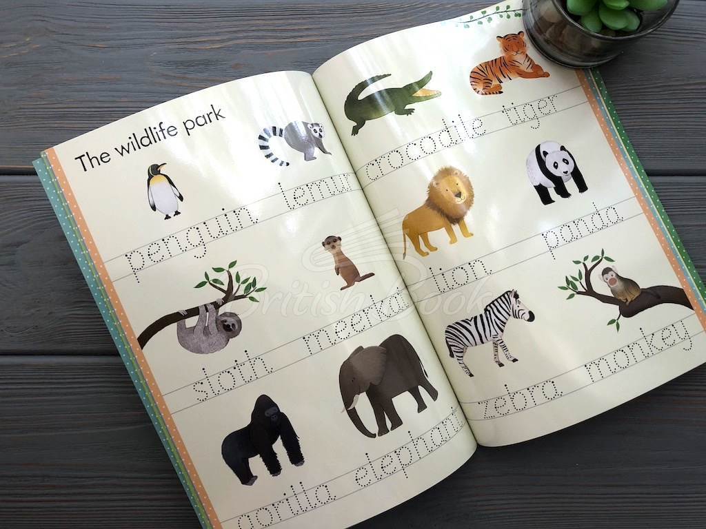 Книга Little Wipe-Clean Word Book: Outdoors зображення 5