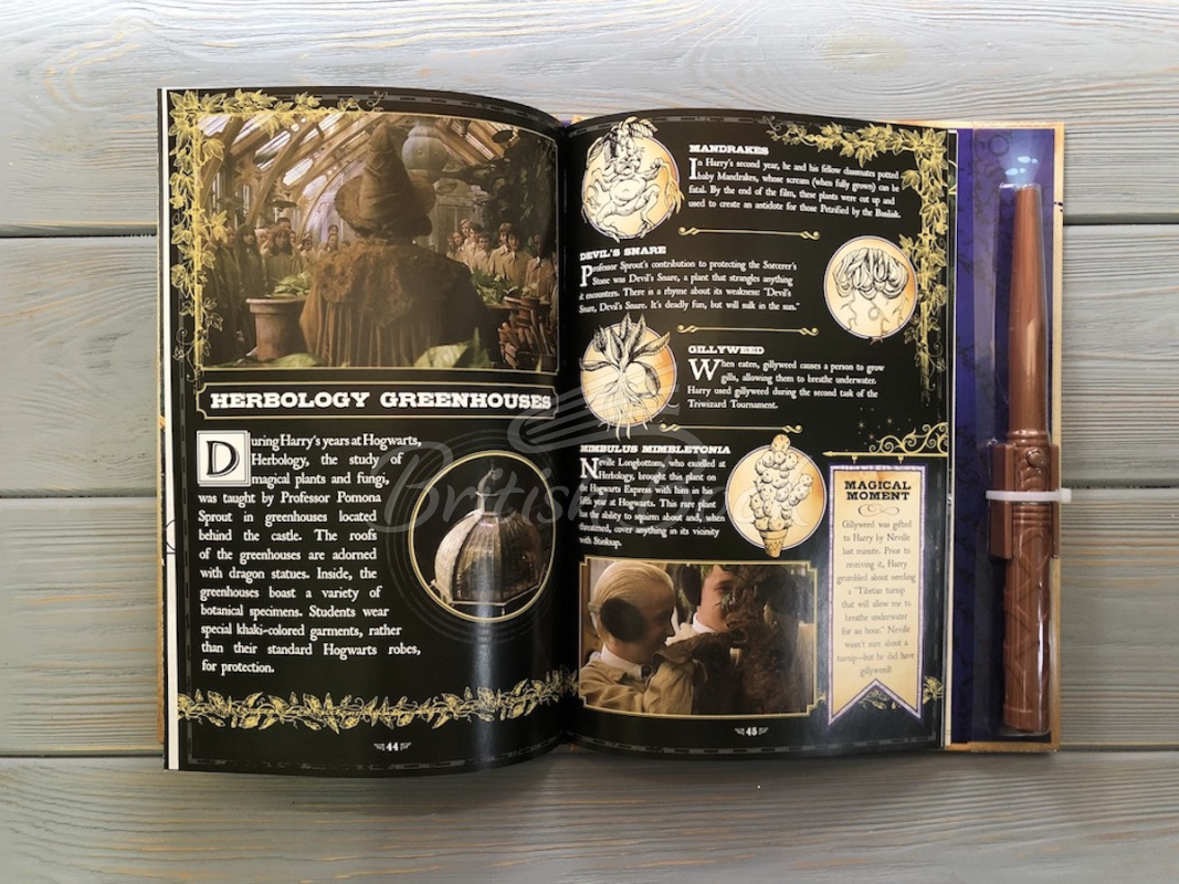 Книга Harry Potter: The Marauder's Map Guide to Hogwarts зображення 5