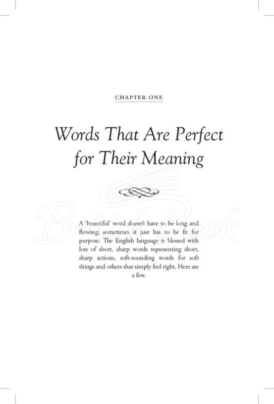 Книга 500 Beautiful Words You Should Know зображення 1
