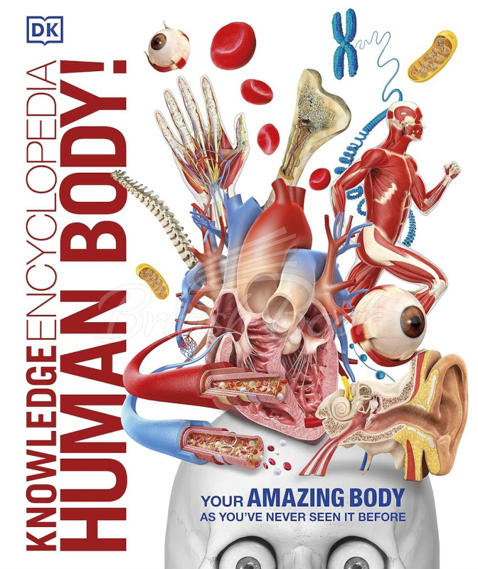 Книга Knowledge Encyclopedia Human Body! зображення