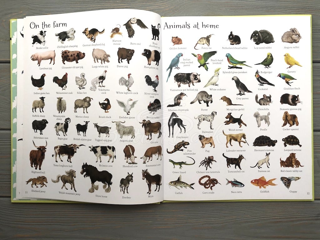 Книга 1000 Animals зображення 4